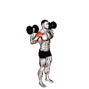 Dumbbell Standing Behind Back Shoulders Press