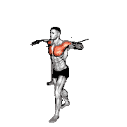 Band Standing Alternate Chest Press demonstration