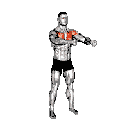 Bodyweight Standing Alternate Chest Fly demonstration