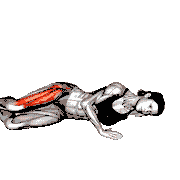 Side Lying Clam and Kick