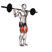 Barbell Pause Lunge