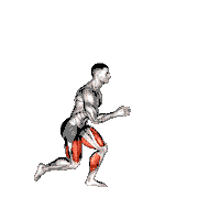 Single Leg Vertical Jump