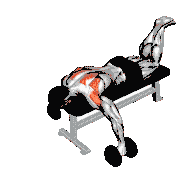 Dumbbell Prone Full Can Exercise