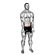 Dumbbell Standing Wrist Curl