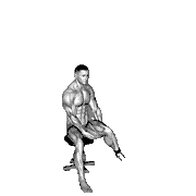 Band Seated Hip External Rotation demonstration