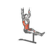 L Pull-Up