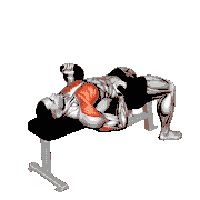 Kettlebell Reverse Bench Press