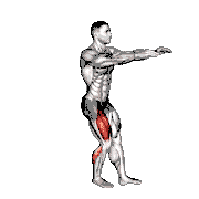 Single Leg Low Box Squat