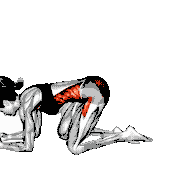 RKC Plank demonstration