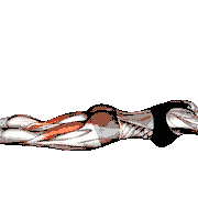 Lying Hyperextension Hold