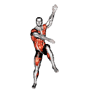 Star Obliques Twist High Knee