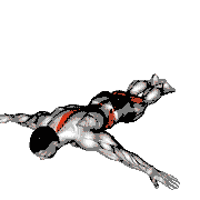 Scorpion Stretch