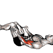 Lying Double Legs Biceps Curl with Towel