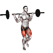 Barbell Curtsey Lunge demonstration