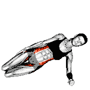 Side Plank (Beginner)