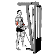 Cable Curl with Multipurpose V Bar demonstration