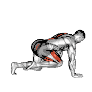 Kneeling Back Leg Lift