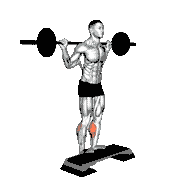 Barbell Standing Leg Calf Raise