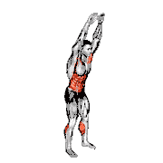 Arms Apart Circular Toe Touch demonstration