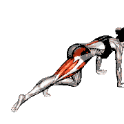 Kneeling Straight Leg Circle