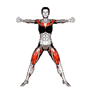 Chest Fly Plyo Squat