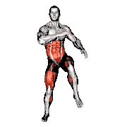 Squat and Knee