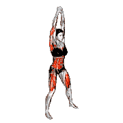 Bodyweight Front Slam