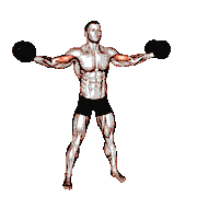 Dumbbell High Curl