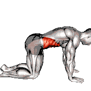Cow Stretch