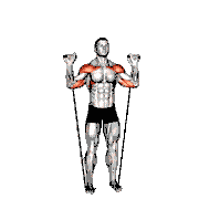 Band Behind Neck Shoulder Press demonstration