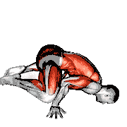 Frog Planche