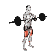 Barbell Full Zercher Squat demonstration