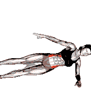 Side Bridge Hip Abduction (Star)