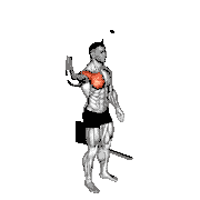 Cable Shoulder 90 Degrees Internal Rotation