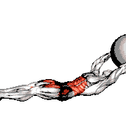 V-Up Down (with Stability Ball) demonstration