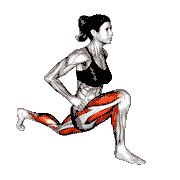 Kneeling Hip Flexor