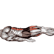 Lying Reverse Leg Extension