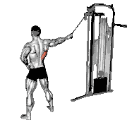Single Arm Side Straight Arm Lat Pulldown