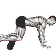Roll Tibialis Anterior