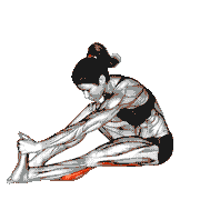 Seated Straight Leg Calf Stretch