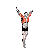 Standing Upright Shoulders Stretch