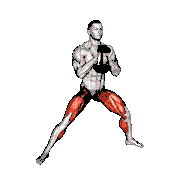 Dumbbell Cossack Squats