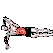 Oblique Crunches with Straight Leg Lift