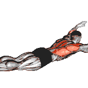 Lying Lat Pulldown