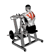 Lever Pronated Grip Seated Scapular Retraction Shrug (Plate Loaded)