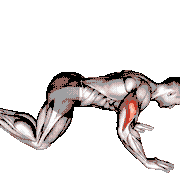 Kneeling Cobra Push-Up