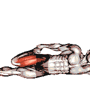 Lying (Side) Quadriceps Stretch