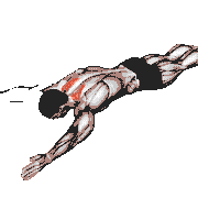 Bodyweight Lying Prone Ys