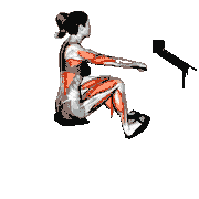 Rowing Straight Back (with Rowing Machine)