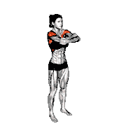 Standing Shoulders Full Flexion demonstration